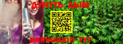 прущие грибы Будённовск