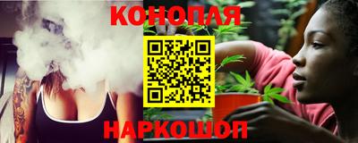 прущие грибы Будённовск