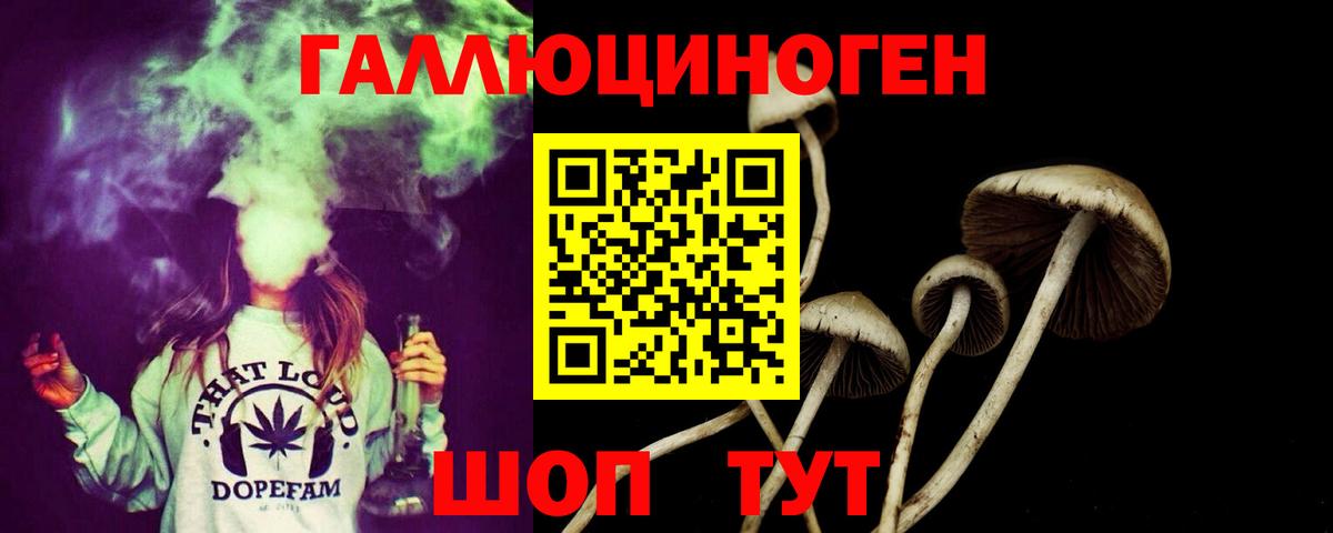 Галлюциногенные грибы мицелий Переславль-Залесский