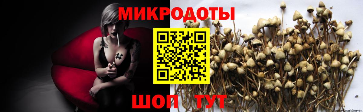 купить  сайты  Вход с VPN  Переславль-Залесский  Галлюциногенные грибы Psilocybine cubensis  Псилоцибиновые грибы Magic Shrooms 